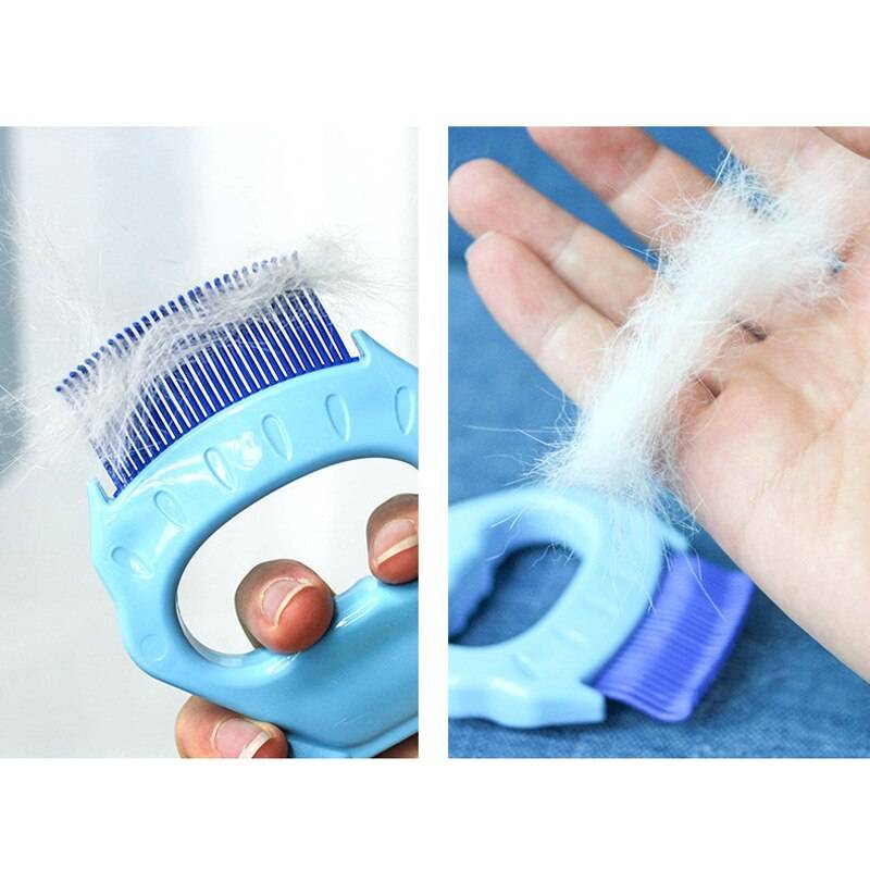 Pet Massage Shell Brush Best Sellers Pets Supplies Color : Blue|Violet|Pink Pet Massage Shell Brush Best Sellers Pets Supplies Color : Blue|Violet|Pink