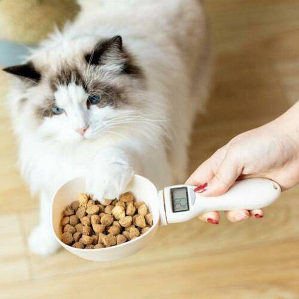 Pet Food Measuring Spoon With LCD Display Pets Supplies Pet Food Measuring Spoon With LCD Display Pets Supplies