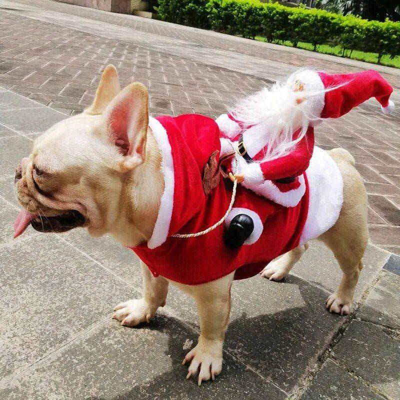 Adorable Christmas Dog Costume – Santa Riding Deer Outfit for All Dog Sizes Pets Supplies Color : Red Adorable Christmas Dog Costume - Santa Riding Deer Outfit for All Dog Sizes Pets Supplies Color : Red