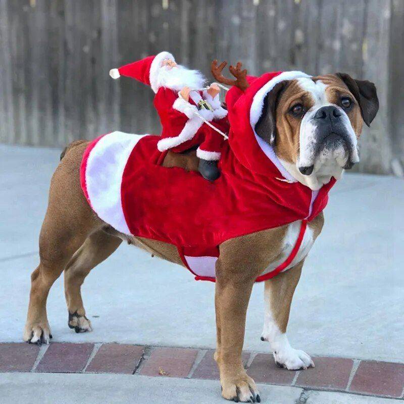 Adorable Christmas Dog Costume – Santa Riding Deer Outfit for All Dog Sizes Pets Supplies Color : Red Adorable Christmas Dog Costume - Santa Riding Deer Outfit for All Dog Sizes Pets Supplies Color : Red